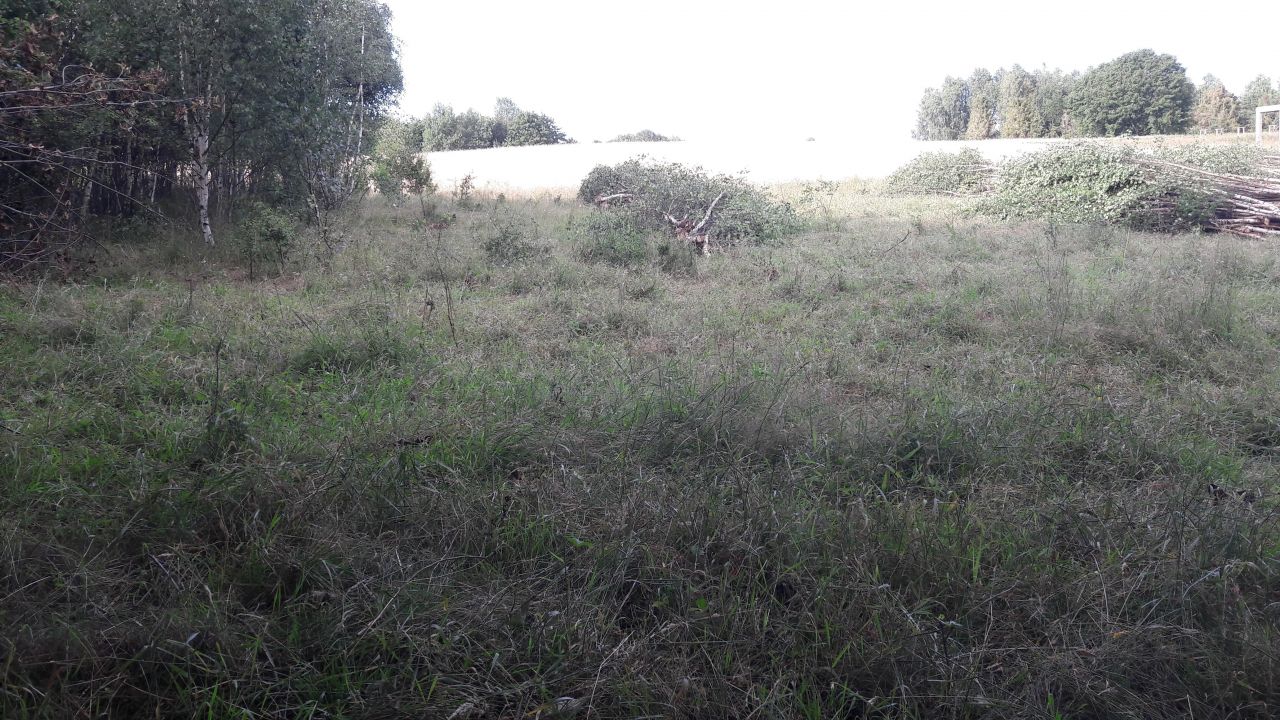 Działka budowlana Łosienice Nowe Łosienice. Zdjęcie 4