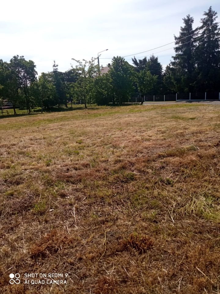 Działka budowlana Sichów. Zdjęcie 2