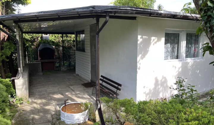 Działka rod Konin Zatorze, ul. Ignacego Paderewskiego