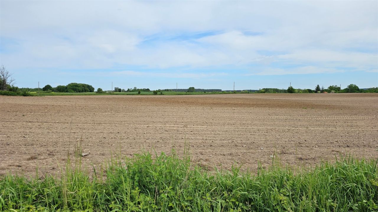 Działka rolna Dziubiele. Zdjęcie 22