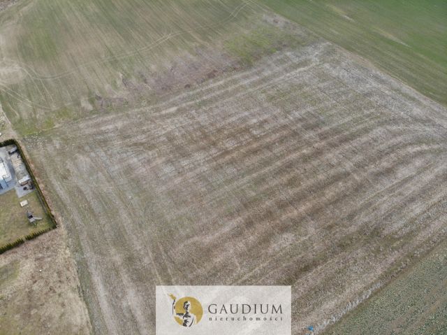 Działka Lubiszewo Tczewskie. Zdjęcie 5