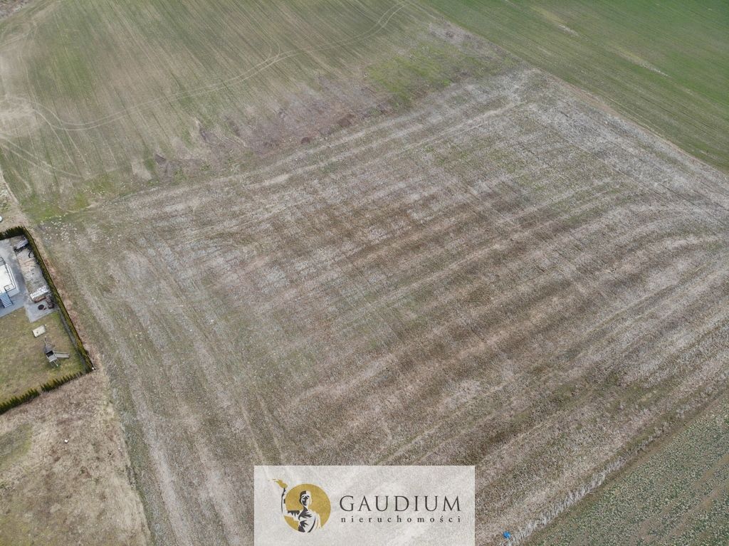 Działka Lubiszewo Tczewskie. Zdjęcie 5