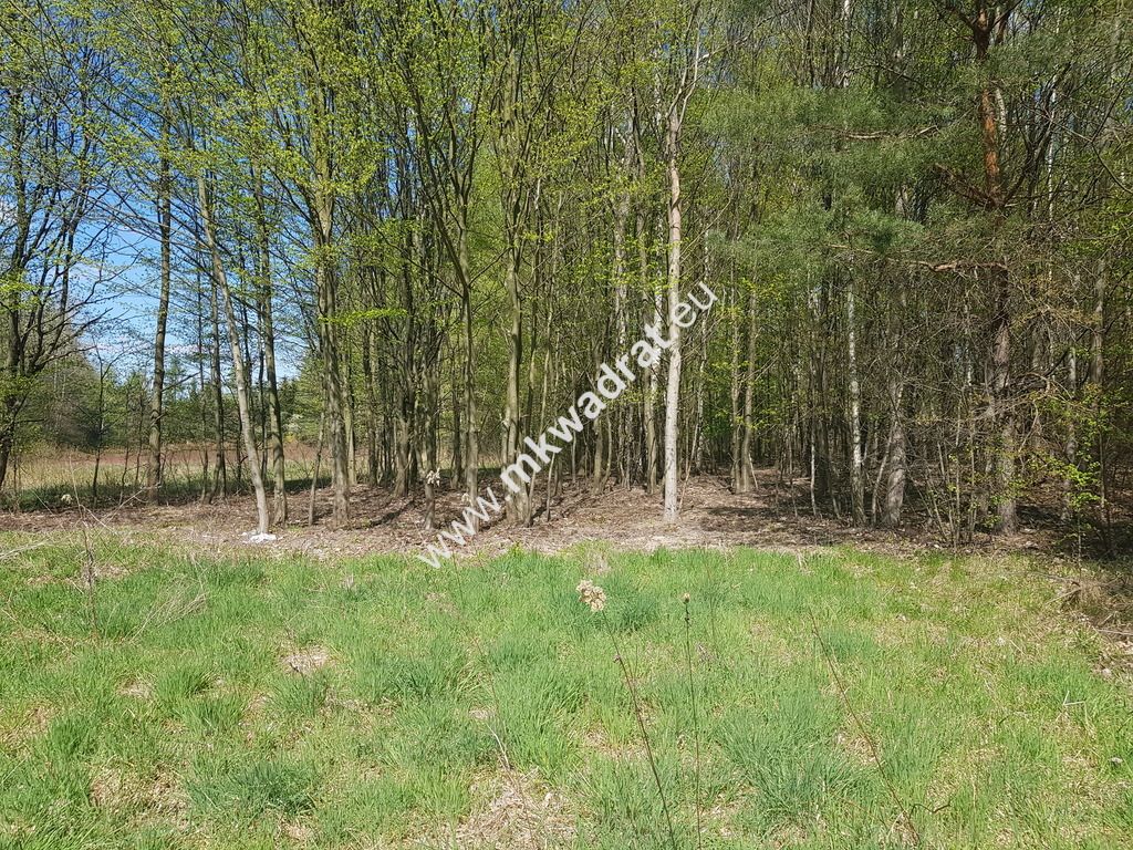 Działka budowlana Budy Mszczonowskie. Zdjęcie 1