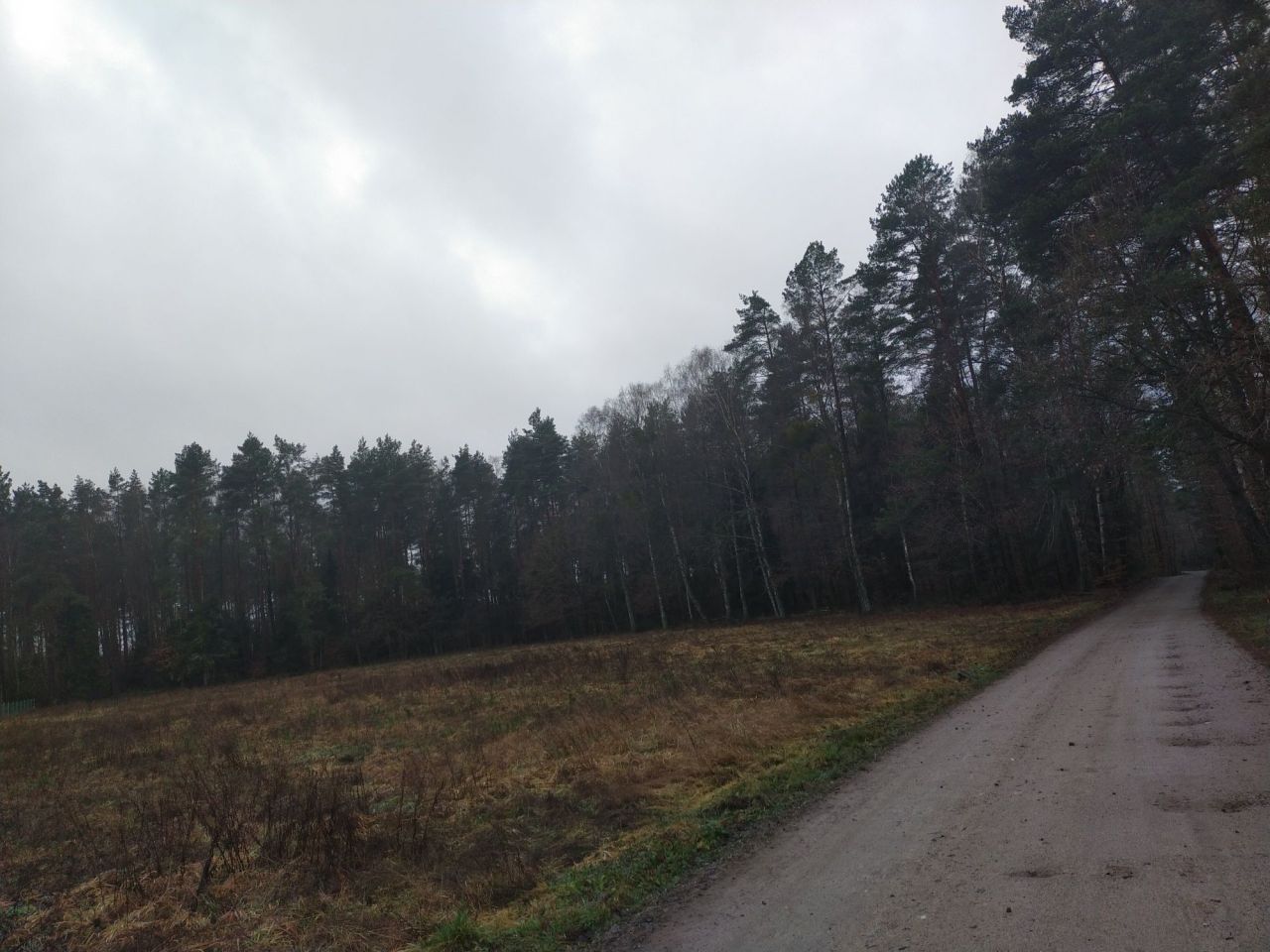 Działka budowlana Borzęcinko. Zdjęcie 6