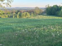 Działka budowlana Mąchocice Kapitulne, ul. Górna. Zdjęcie 4