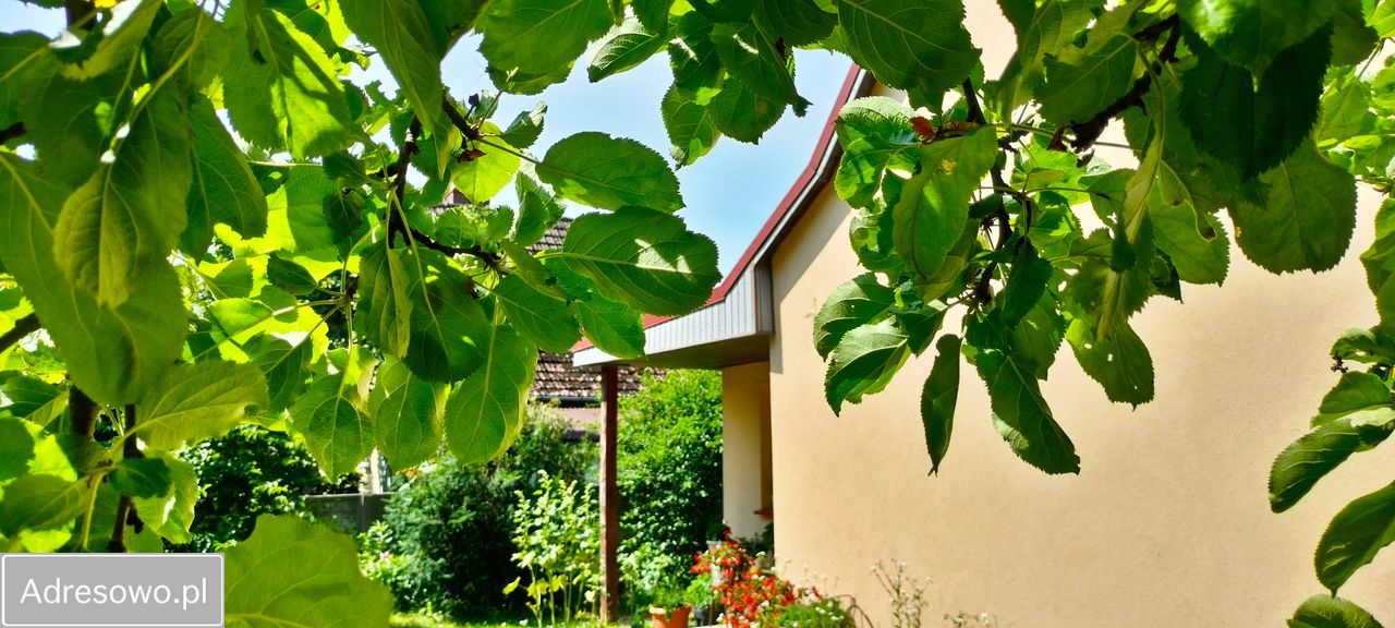 dom wolnostojący, 4 pokoje Szczecinek, ul. Szczecińska. Zdjęcie 3