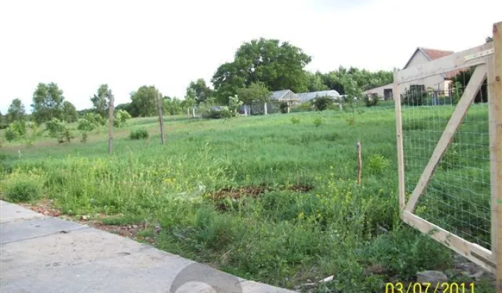 Działka budowlana Stara Dąbrowa