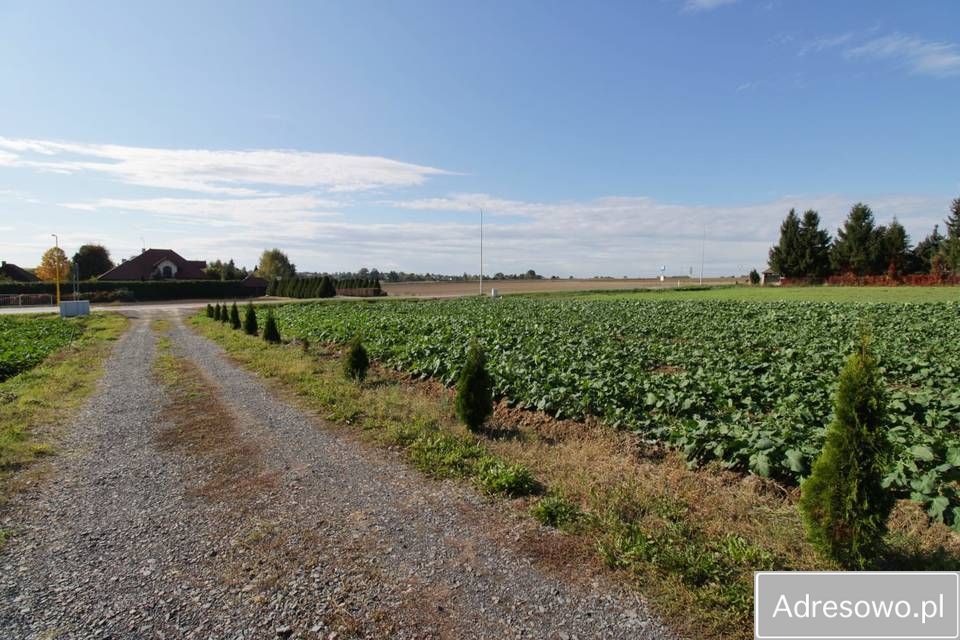 Działka budowlana Zemborzyce Dolne. Zdjęcie 8