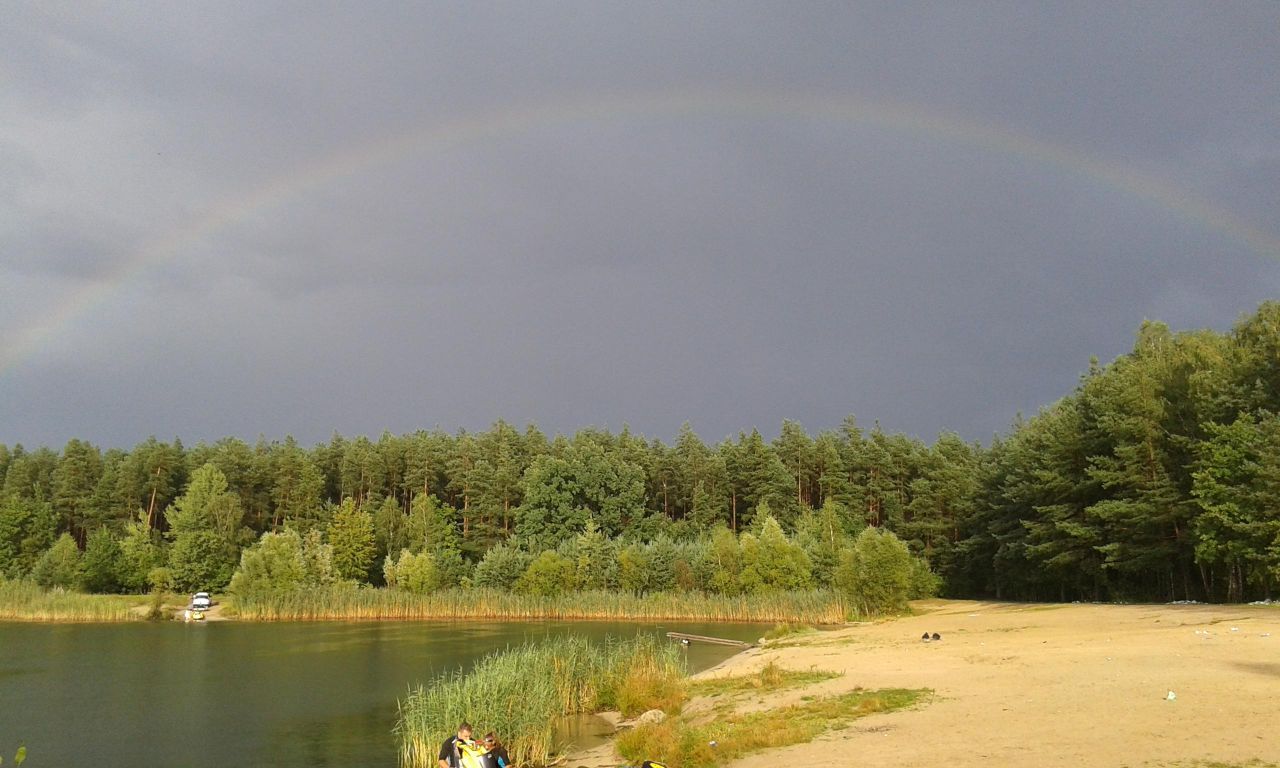 Działka siedliskowa Bereza. Zdjęcie 6