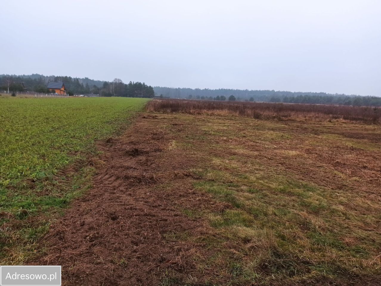 Działka budowlana Kamieńczyk. Zdjęcie 9