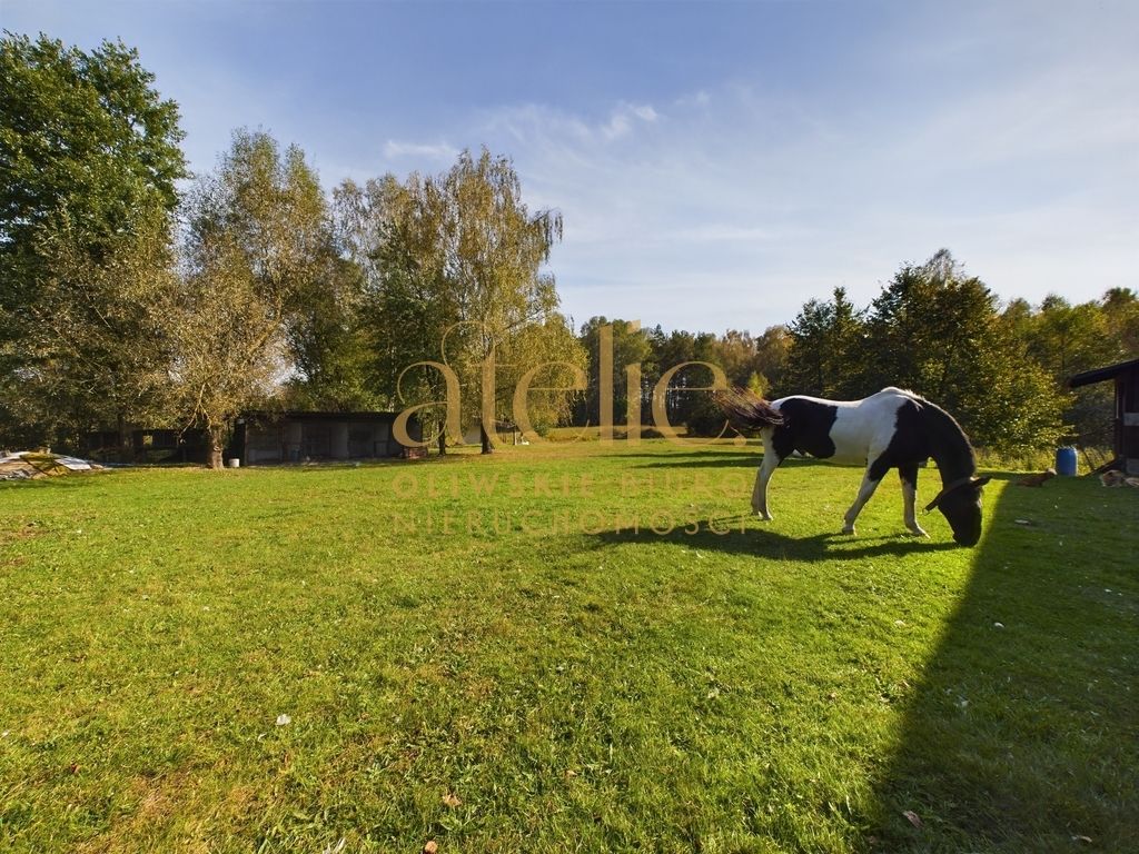 dworek, 7 pokoi Biały Bór. Zdjęcie 31