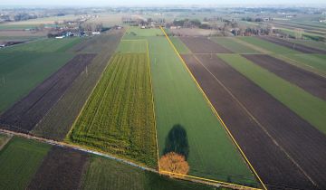 Działka siedliskowa Domaniewek