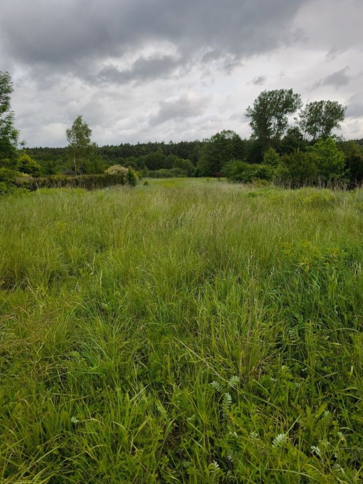 Działka budowlana Kolonia, ul. Poręba. Zdjęcie 2