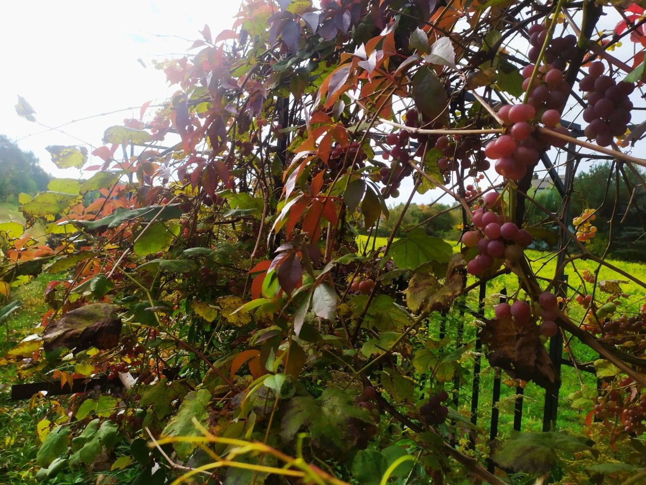 dom wolnostojący, 8 pokoi Sochaczew. Zdjęcie 5