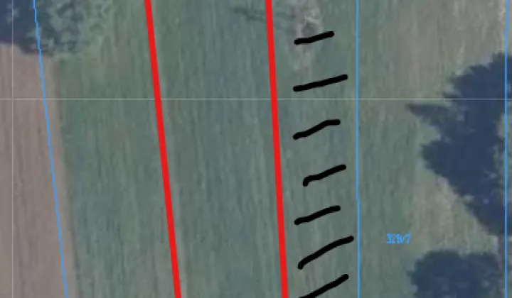 Działka rolno-budowlana Dalików, ul. Wschodnia