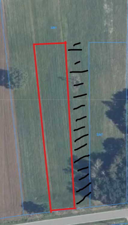 Działka rolno-budowlana Dalików, ul. Wschodnia