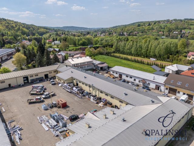 Lokal Lubenia. Zdjęcie 34