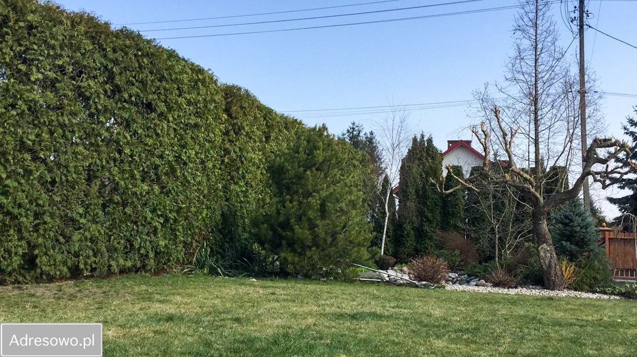 dom wolnostojący, 4 pokoje Lubzina. Zdjęcie 2