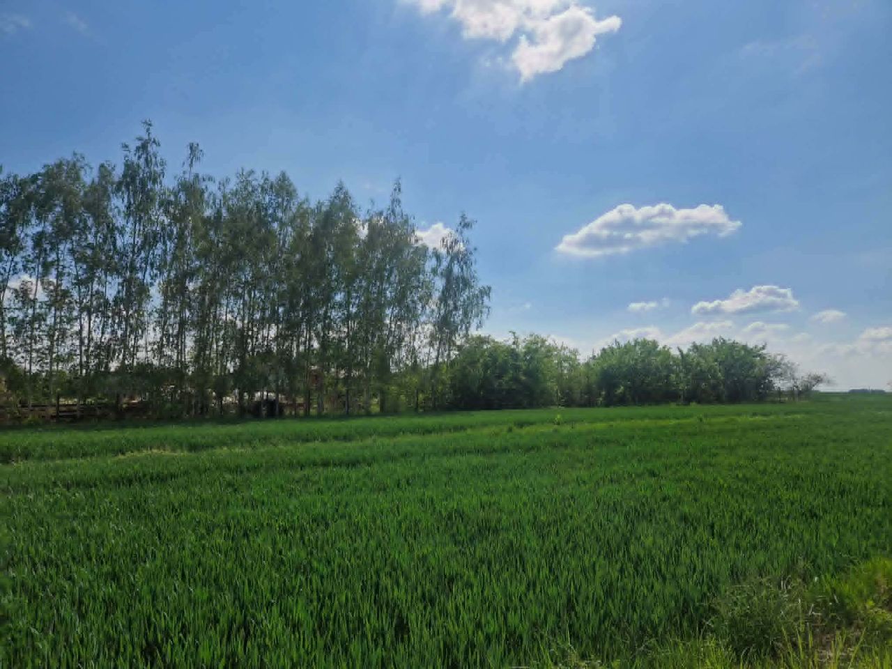 Działka budowlana Pułtusk, ul. Nasielska. Zdjęcie 2