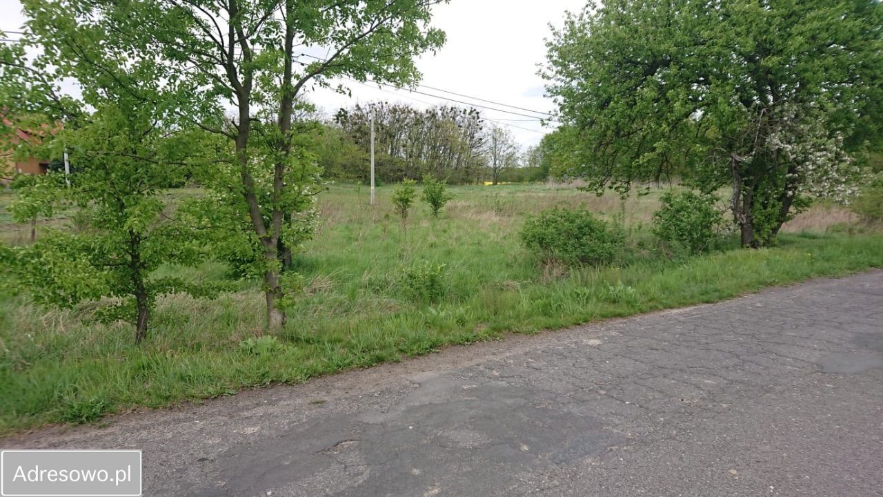 Działka budowlana Prędocin. Zdjęcie 4