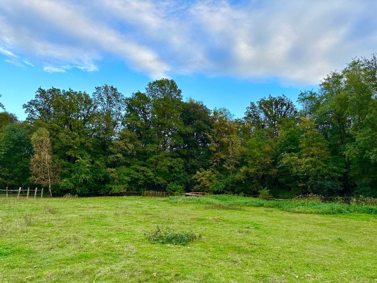 Działka budowlana Piszkawa. Zdjęcie 8