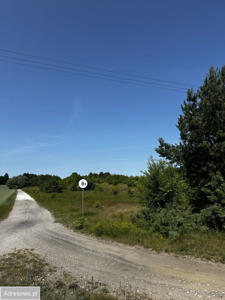 Działka inwestycyjna Gąbinek. Zdjęcie 2