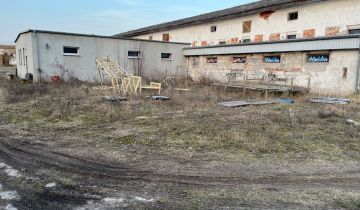 Hala/magazyn Trzcianka