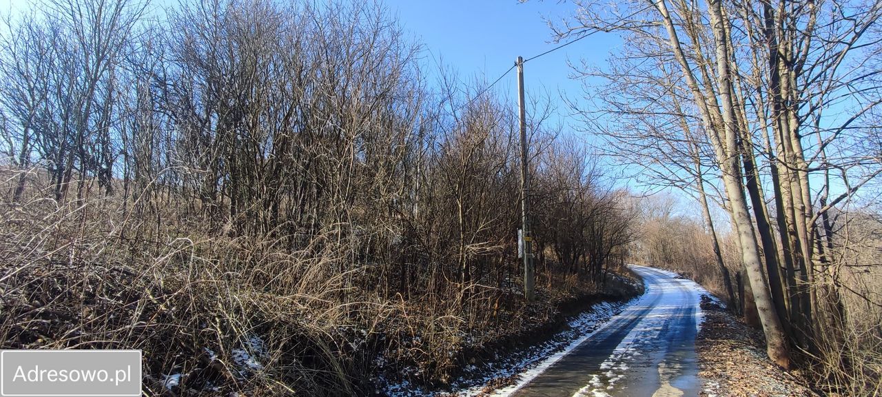 Działka budowlana Jeleniów. Zdjęcie 10