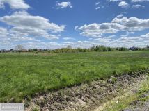 Działka budowlana Skaryszew, ul. Krótka. Zdjęcie 1