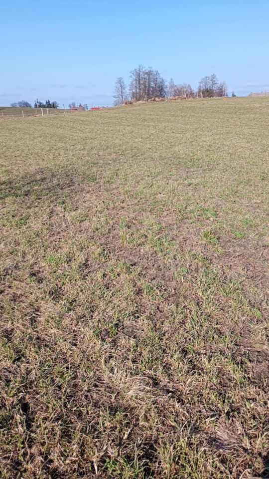 Działka budowlana Czyprki. Zdjęcie 3