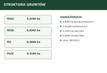 Działka rolna Dąbie. Zdjęcie 3