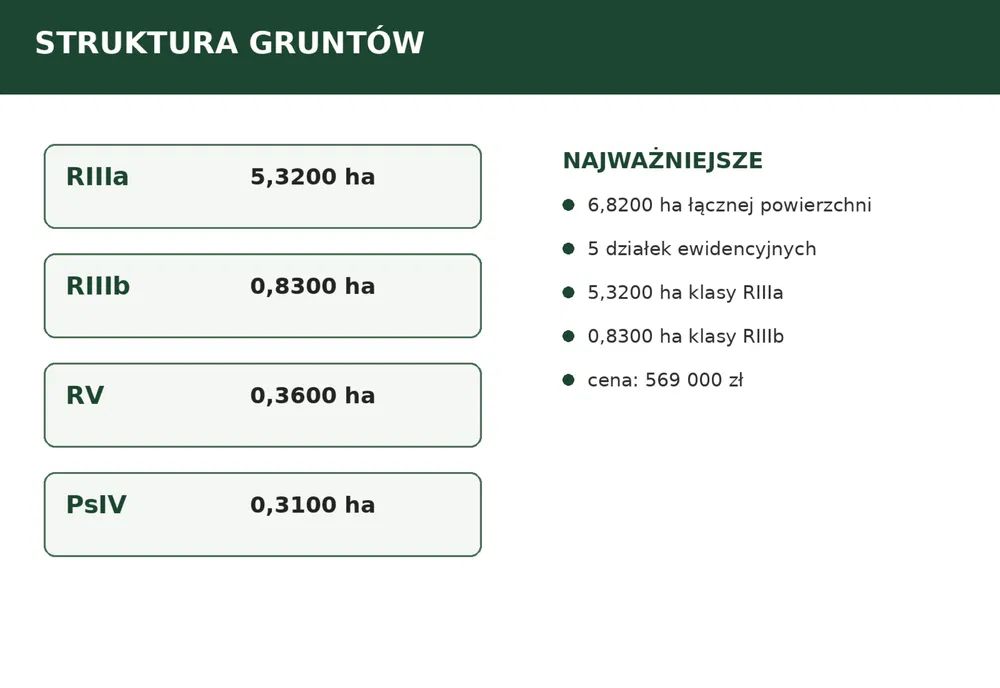 Działka rolna Dąbie. Zdjęcie 4