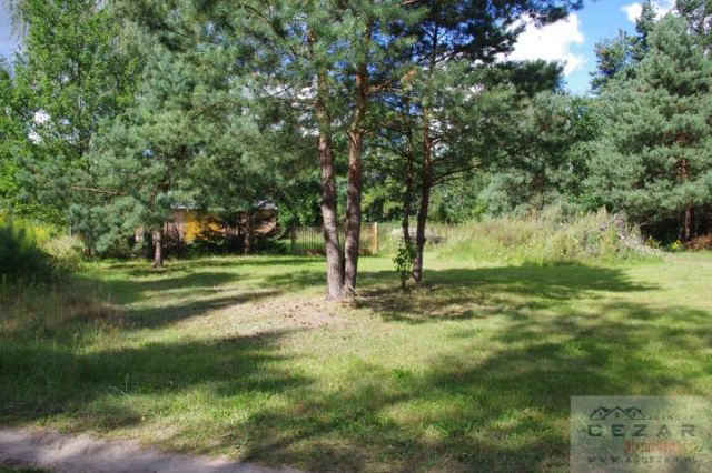 Działka inwestycyjna Grabina. Zdjęcie 1