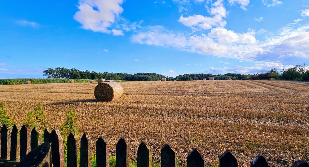 Działka siedliskowa Rzgów Drugi. Zdjęcie 4