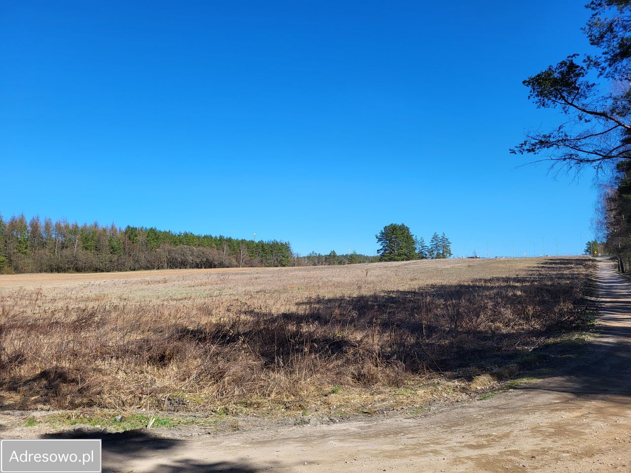 Działka budowlana Wasilków. Zdjęcie 6