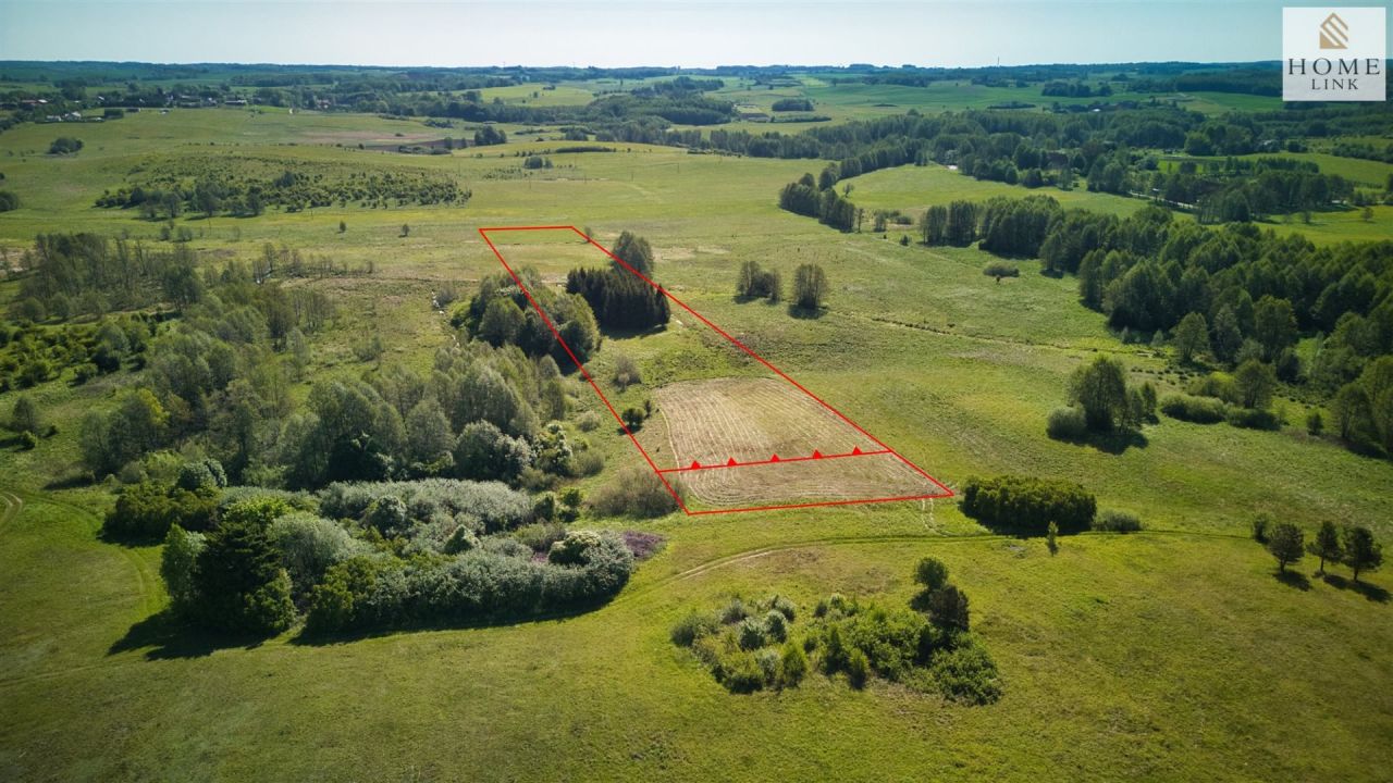 Działka siedliskowa Skolity. Zdjęcie 2