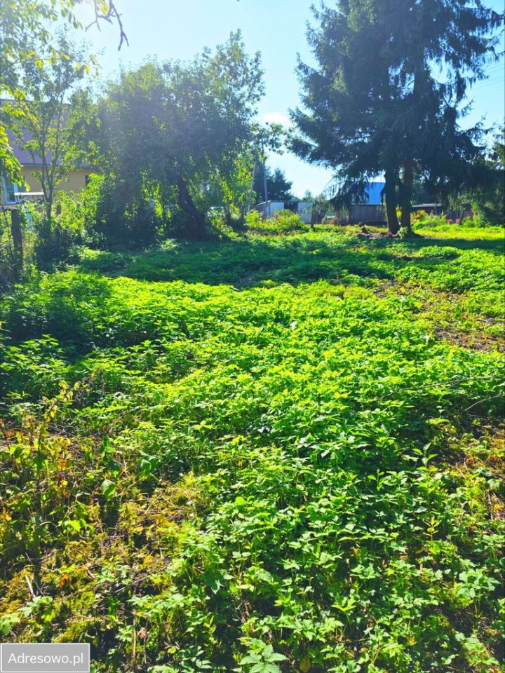 dom szeregowy, 2 pokoje Tarławki. Zdjęcie 7