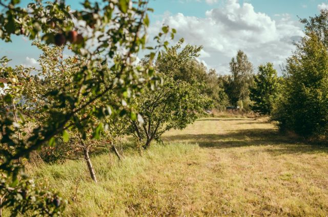 dom wolnostojący, 5 pokoi Osipy-Wydziory Pierwsze. Zdjęcie 12