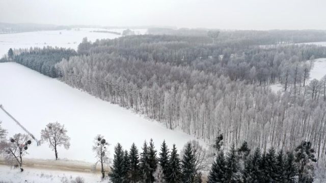 Działka leśna Harsz. Zdjęcie 6