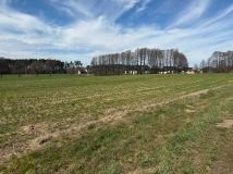 Działka budowlana Kobyla Góra Lipnik. Zdjęcie 1