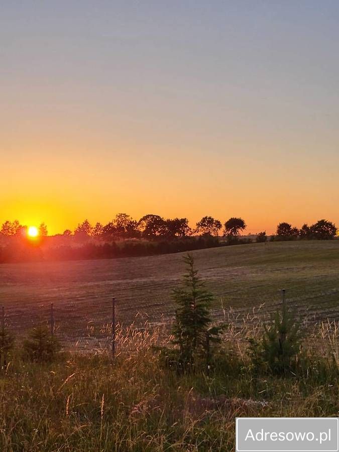 Działka budowlana Elganowo. Zdjęcie 10