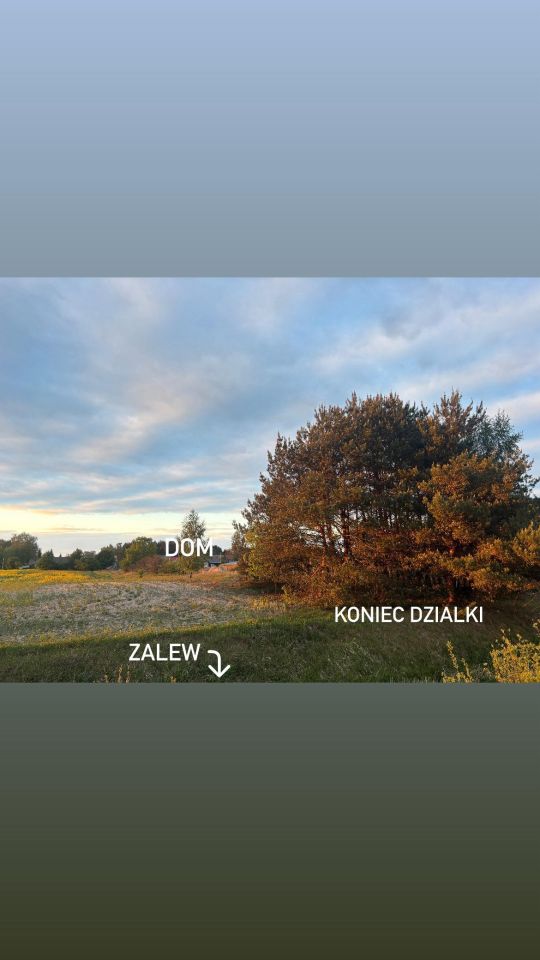 dom wolnostojący, 6 pokoi Wincentów. Zdjęcie 3