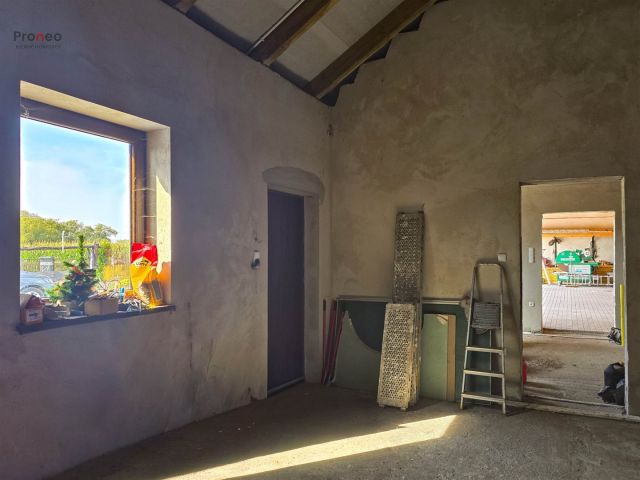 dom wolnostojący, 6 pokoi Wola Kożuszkowa. Zdjęcie 39