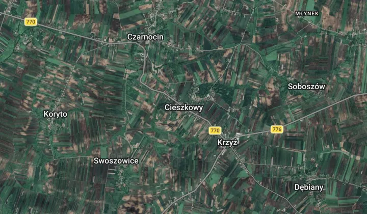 Działka rolna Cieszkowy