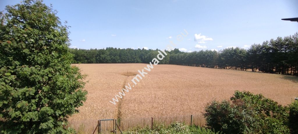 siedlisko, 3 pokoje Budy Wolskie. Zdjęcie 13