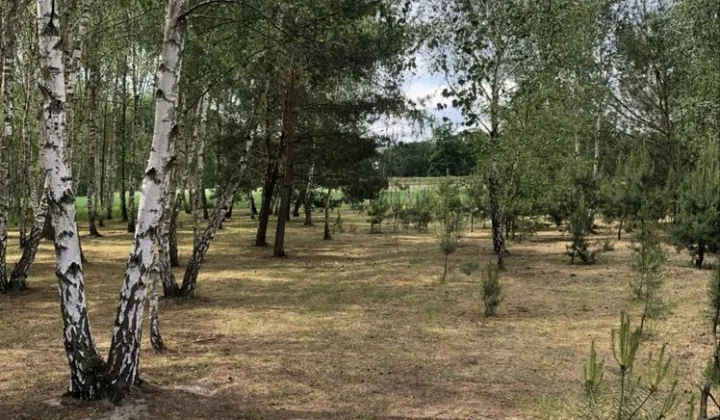 Działka rolno-budowlana Nowy Lubusz