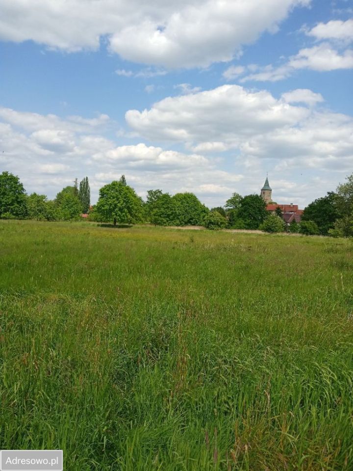 Działka budowlana Jerzmanki. Zdjęcie 11