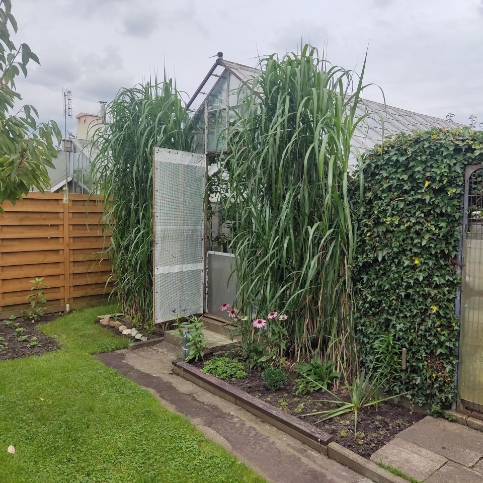 Działka rod Kołobrzeg, ul. Bolesława Krzywoustego. Zdjęcie 9