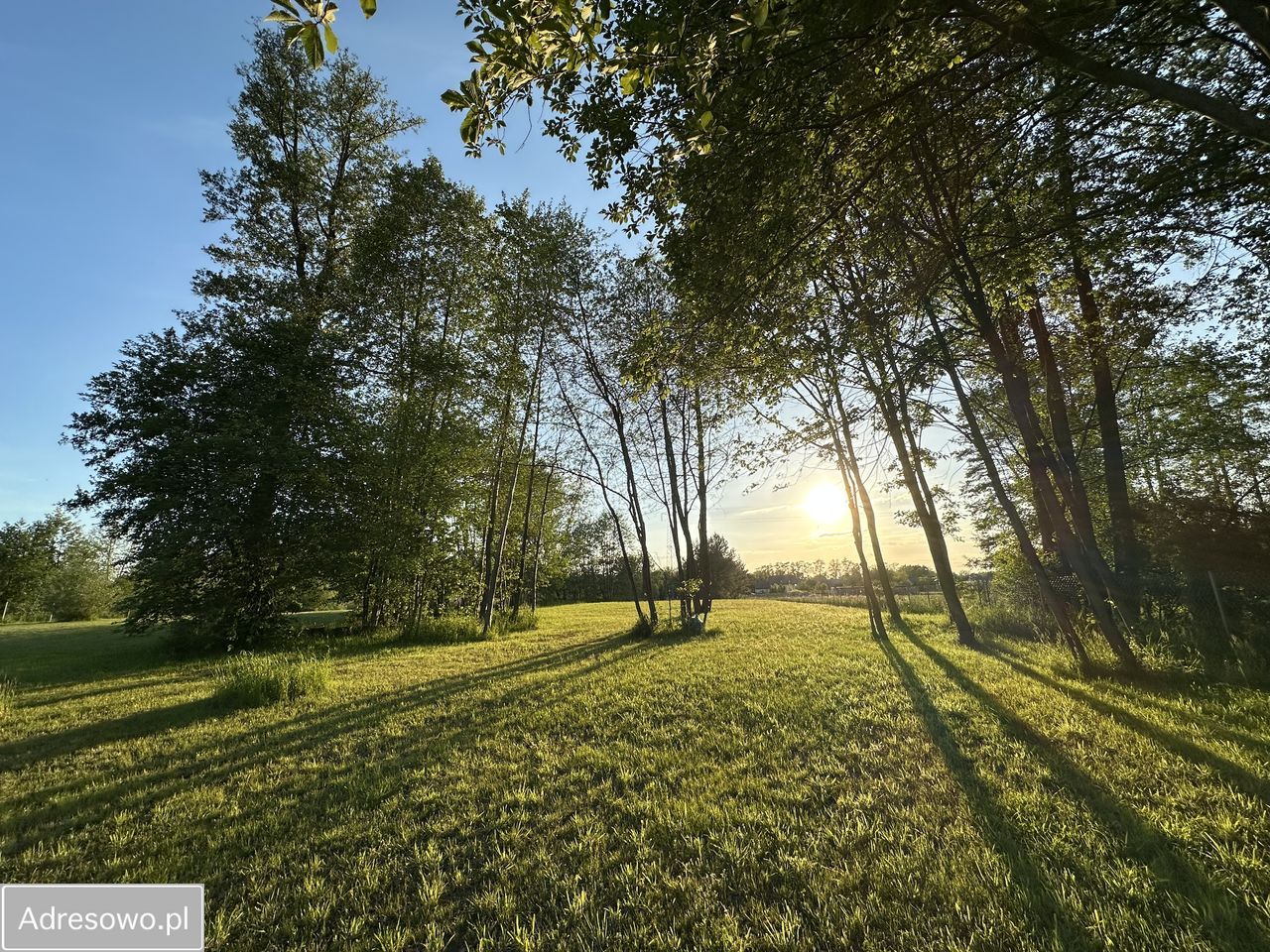 Działka inwestycyjna Złotokłos, ul. Piaseczyńska. Zdjęcie 10