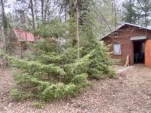 Działka rekreacyjna Łódź Łagiewniki, ul. Żółwiowa. Zdjęcie 1